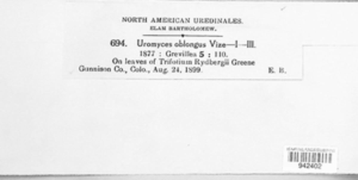 Uromyces oblongus image